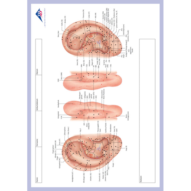 Bloc de notas Meridian, doble cara, 50 hojas (E.800.0056)