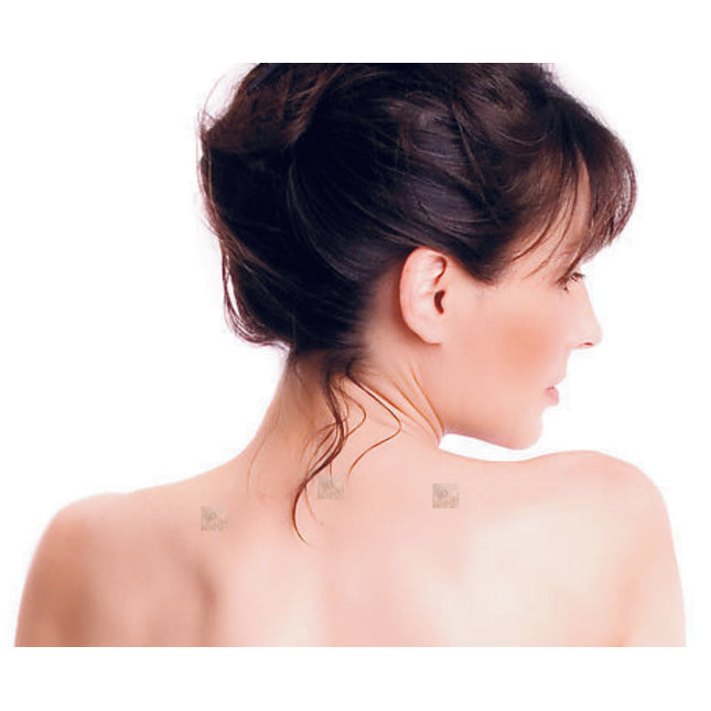 HWATO Dauernadeln, Typ Reissnägelchen, 100 Stk., 0.22 x 1.5 mm (A.150.0011)