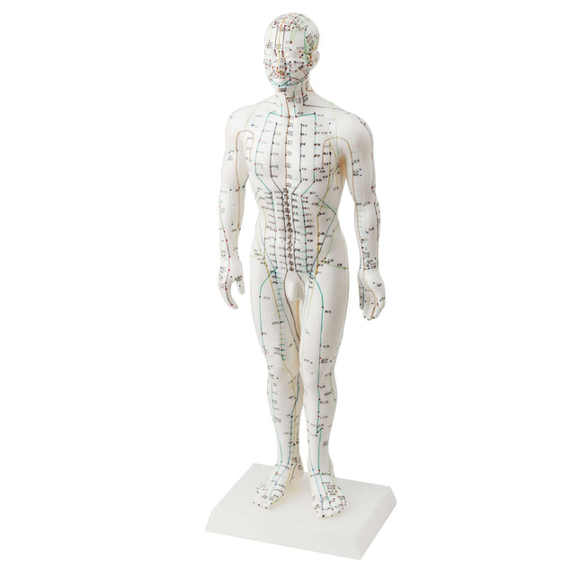 Mannelijke pop, wit hard plastic, met kin. en engels opschrift, 50 cm (E.100.0024)