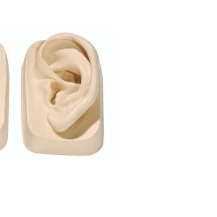 Conjunto de orelhas de exercício (esquerda e direita), fabricadas em silicone de alta qualidade em tamanho real