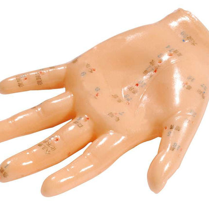 Model ruky, měkký plast, s čínským nápisem, cca 13 cm