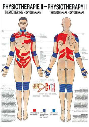 Poster Physiotherapy II, thermo- & cryotherapy, 50 x 70 cm (E.600.0050)