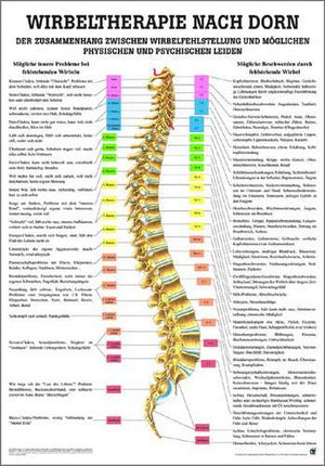 Terapia espinal según Dorn, 70 x 100 cm